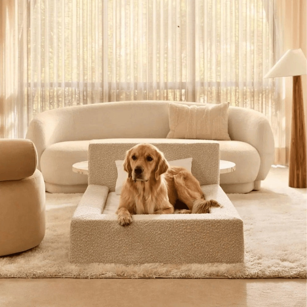 Dog & Cat Sofa Bed with Backrest