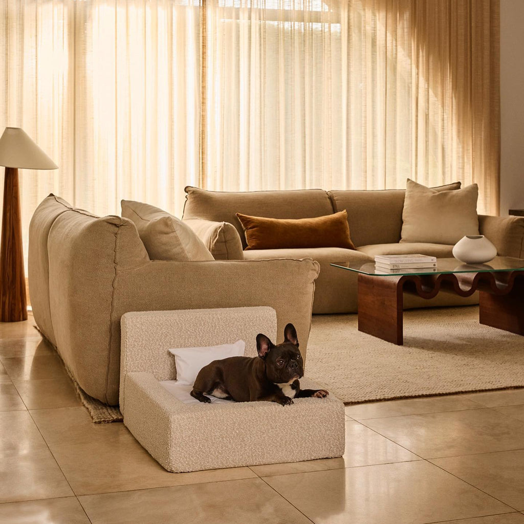 Dog & Cat Sofa Bed with Backrest