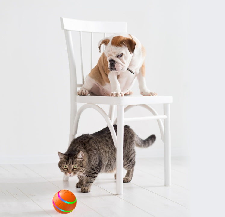 Smart Automatic Cat Ball Toy