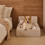 Dog & Cat Sofa Bed with Backrest