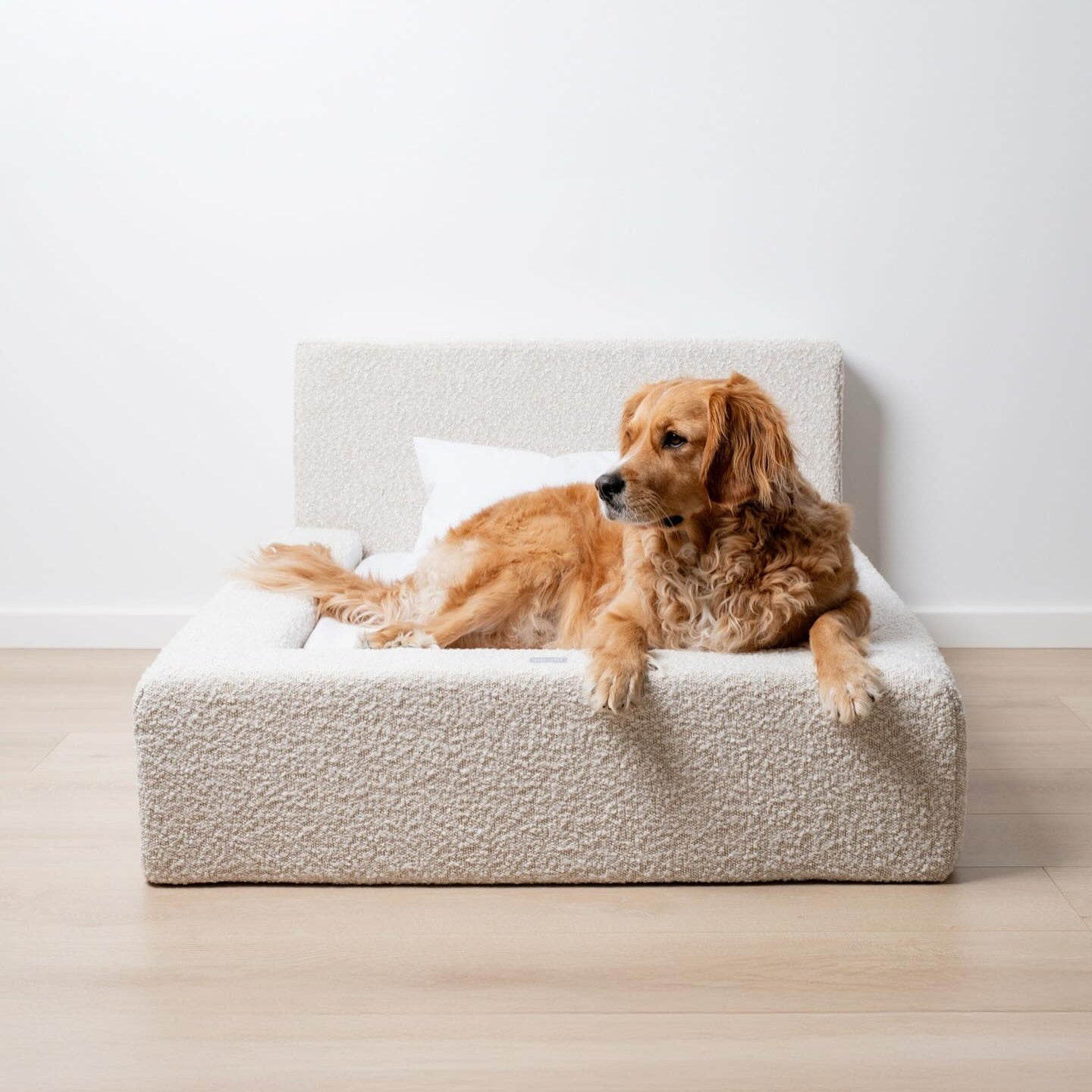 Dog & Cat Sofa Bed with Backrest