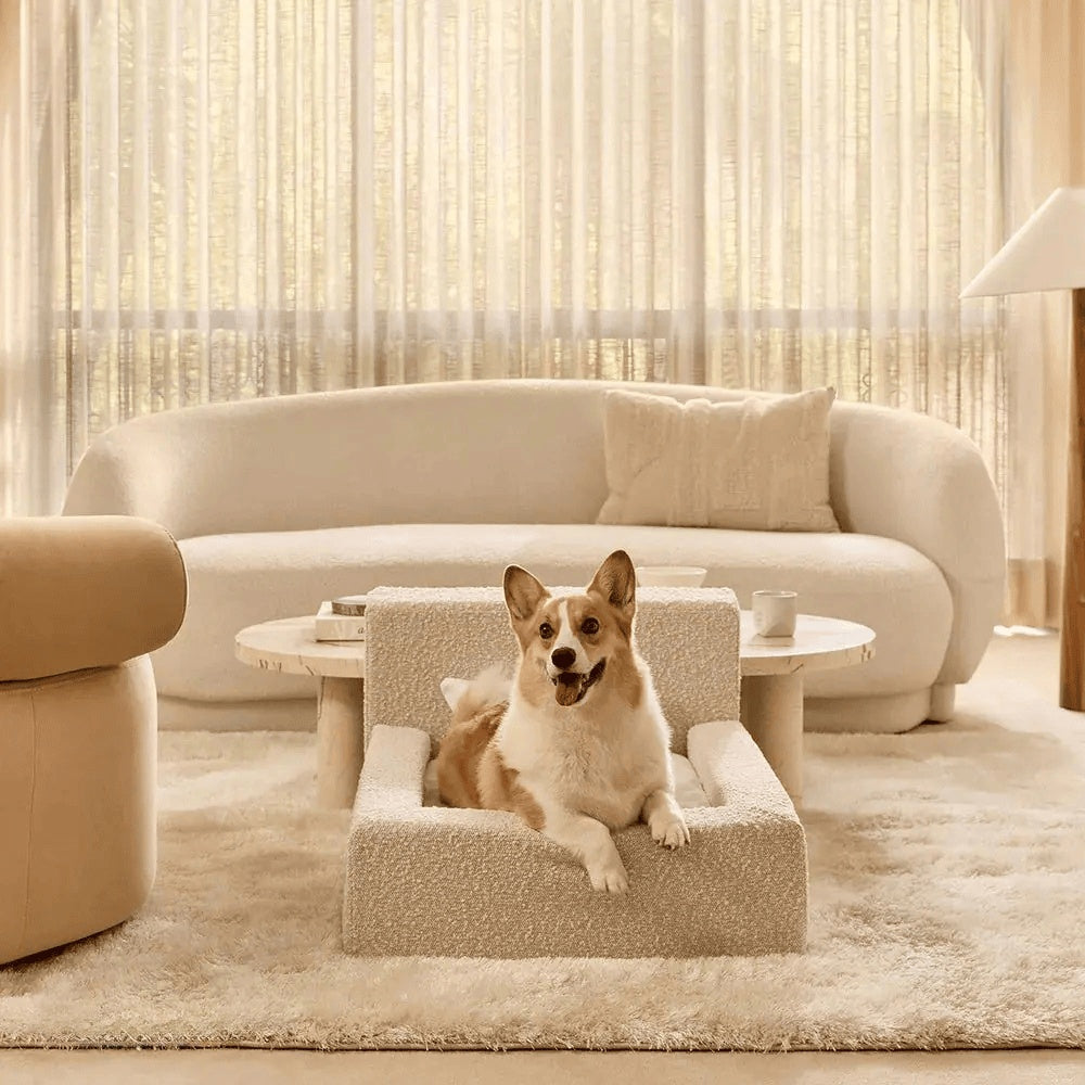 Dog & Cat Sofa Bed with Backrest